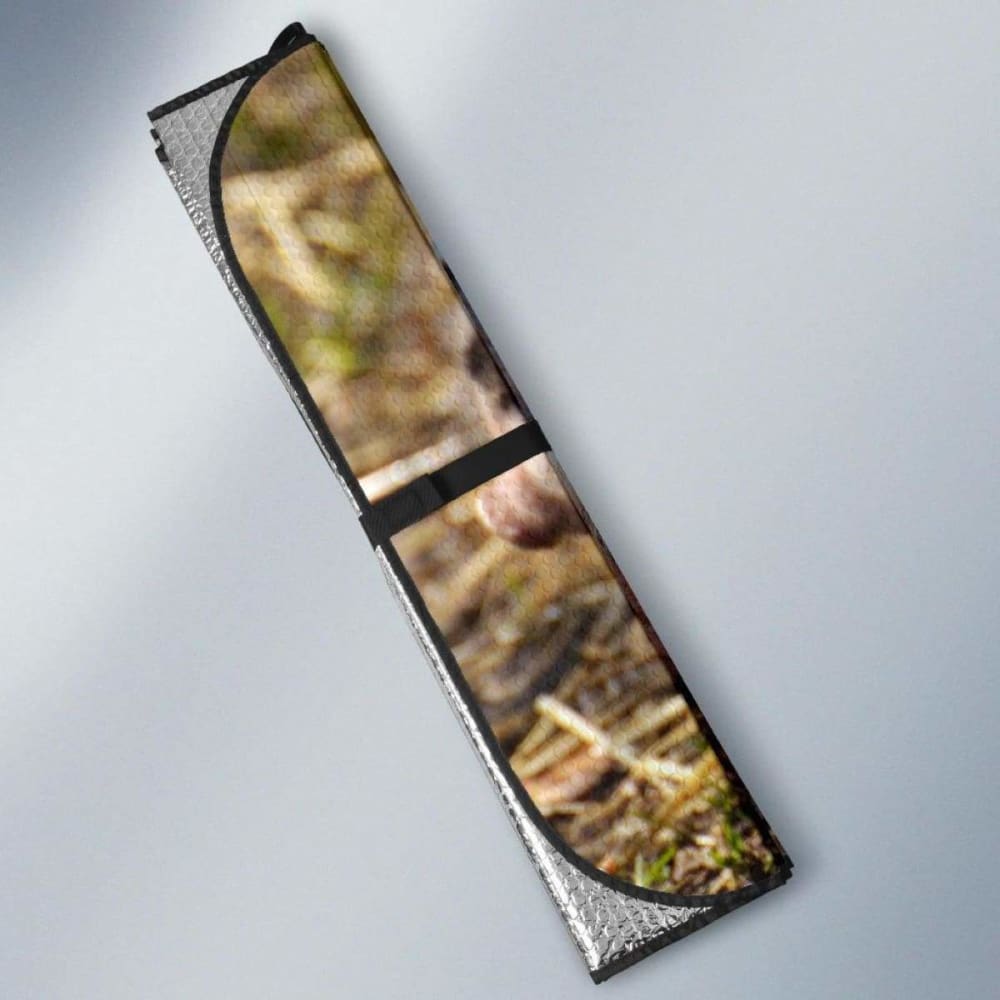 Auto Sun Shades - Pig