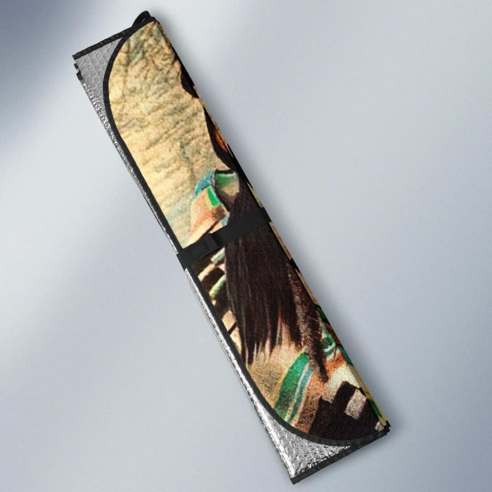 Native American Founding Fathers Auto Sun Shades