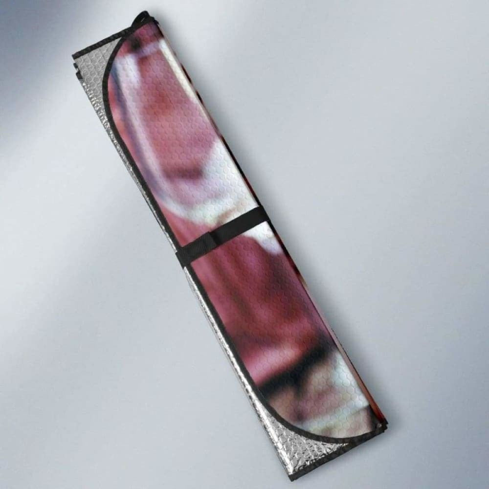 Boston Terrier Car Sun Shades