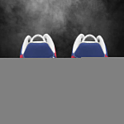 New York Gaints Air Sneakers NFL Custom Sports Shoes