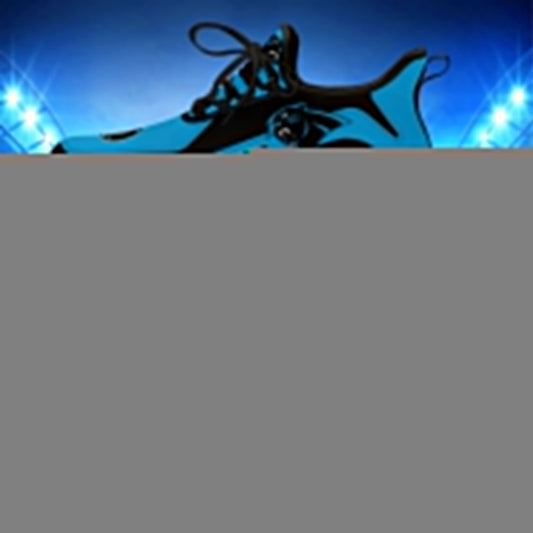 Carolina Panthers Clunky Sneakers NFL Custom Sport Shoes