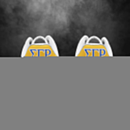 Sigma Gamma Rho Sororities Air Force Sneakers Custom Shoes