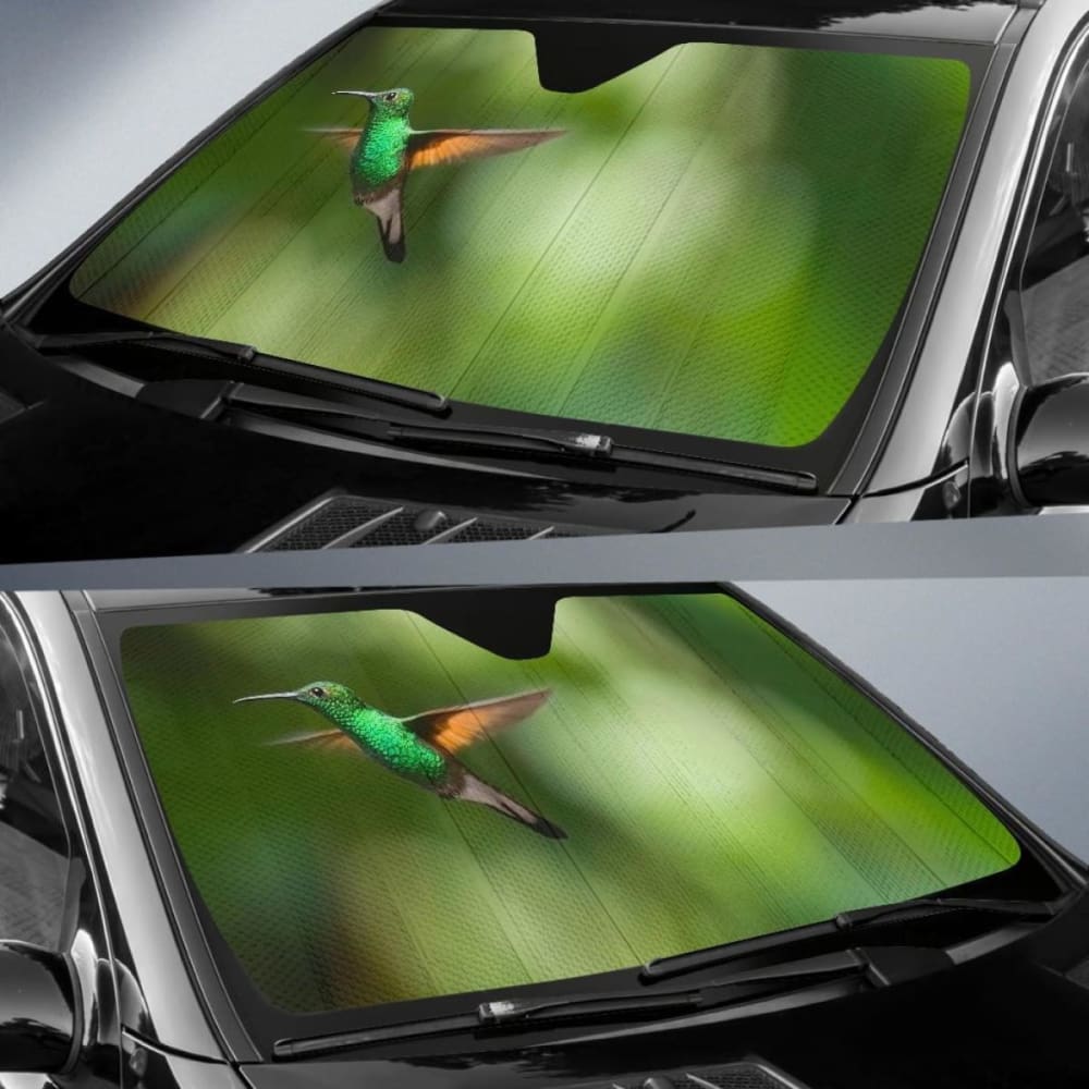 Hummingbird Trochilidae Bokeh Car Sun Shade