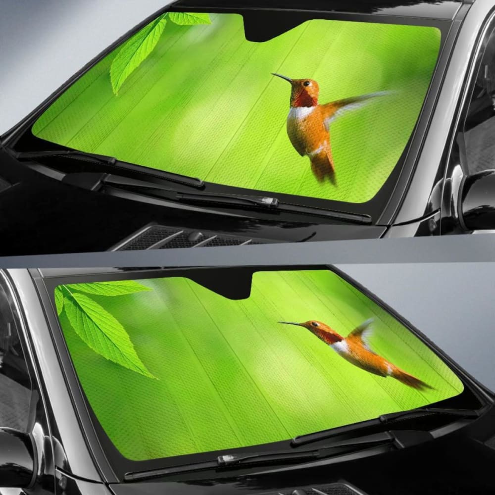 Hummingbird Green Background Blur Background Car Sun Shade