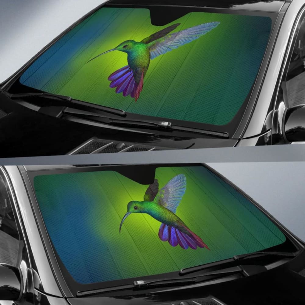 Hummingbird Deepin Os Arch Linux Stock Car Sun Shade