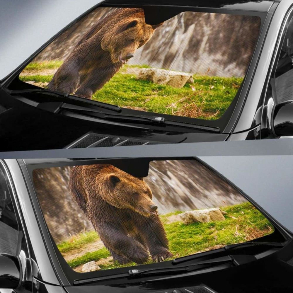 Brown Bear Hd Car Sun Shade