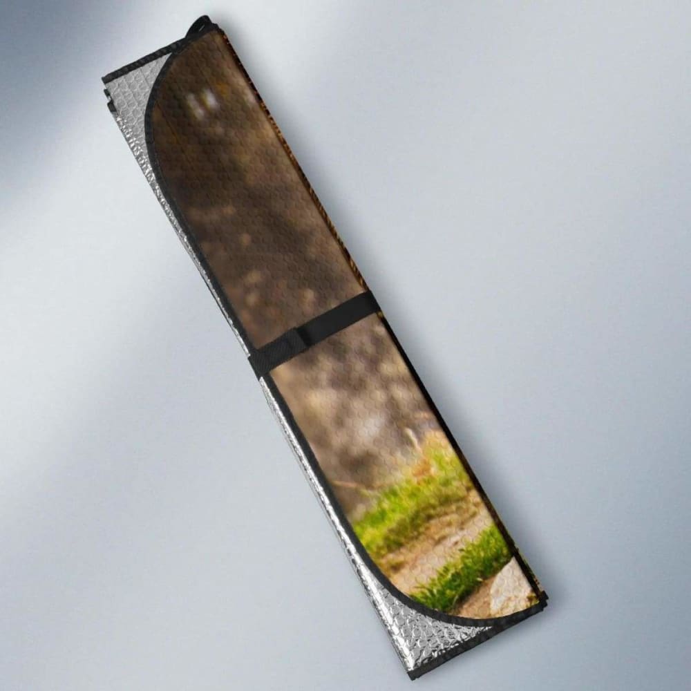 Brown Bear Hd Car Sun Shade