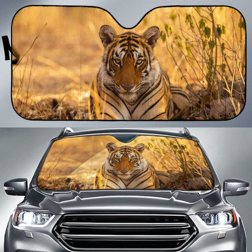 Tiger With Dangerous Silence Car Auto Sun Shades