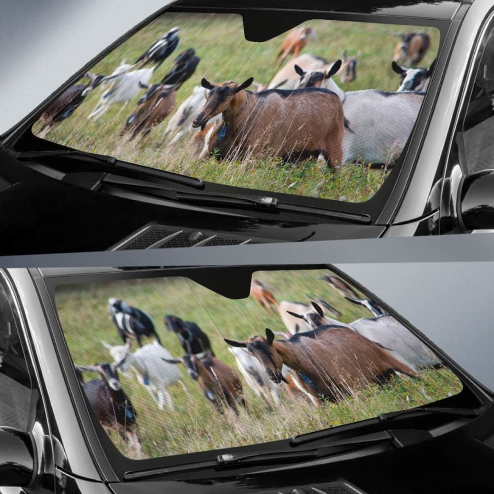 Auto Sun Shades - Goat