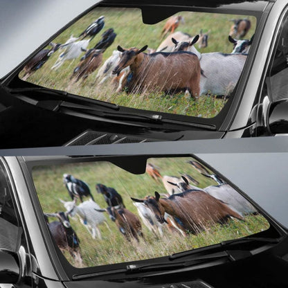 Auto Sun Shades - Goat