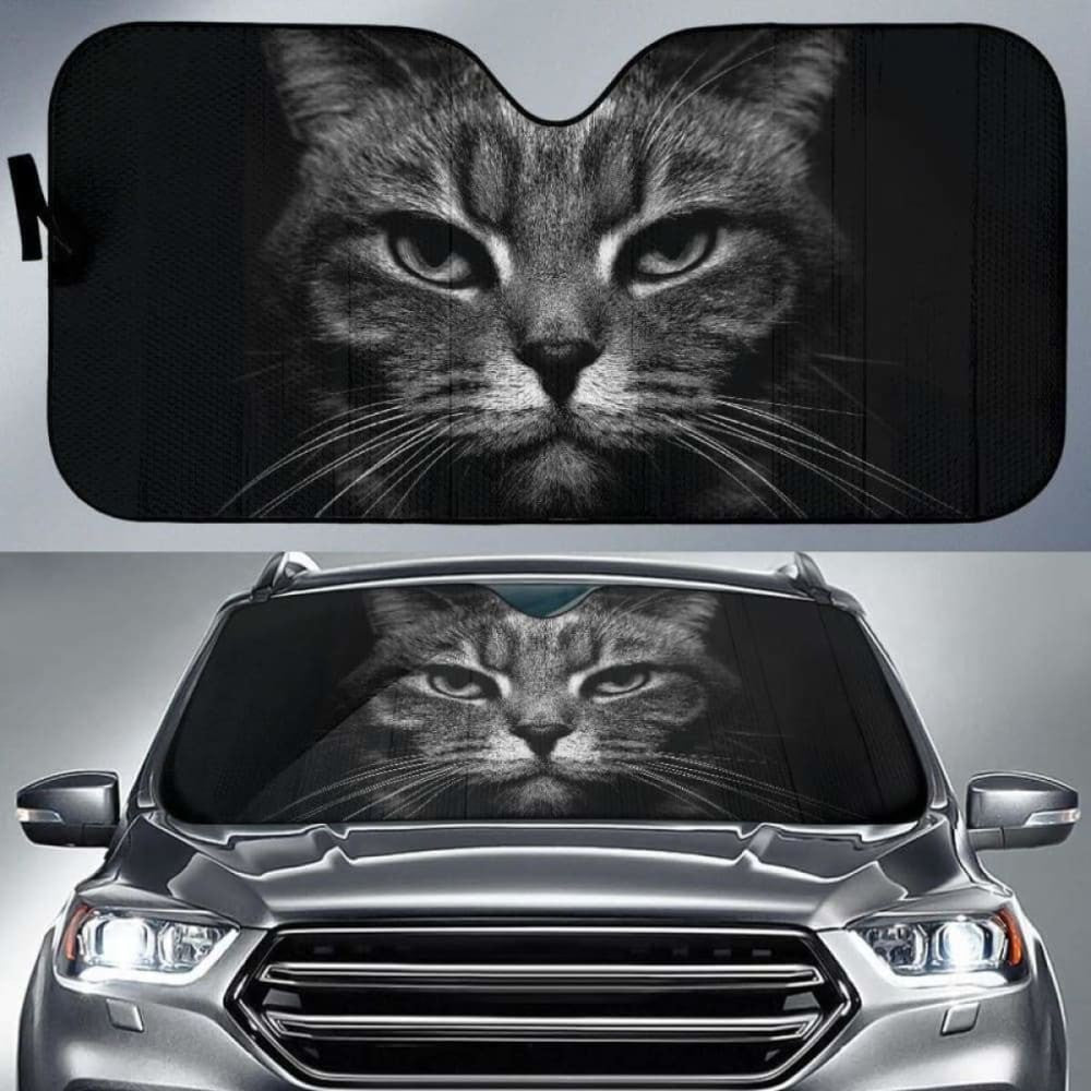 Cat Eyes Car Auto Sun Shades