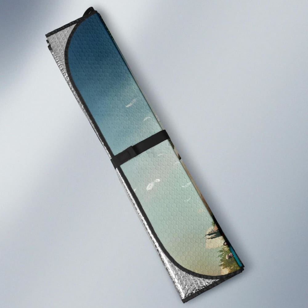 Doctor Who Auto Sun Shades