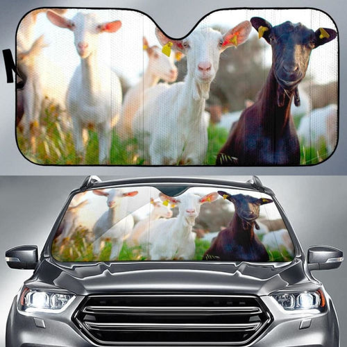 Auto Sun Shades - Goat