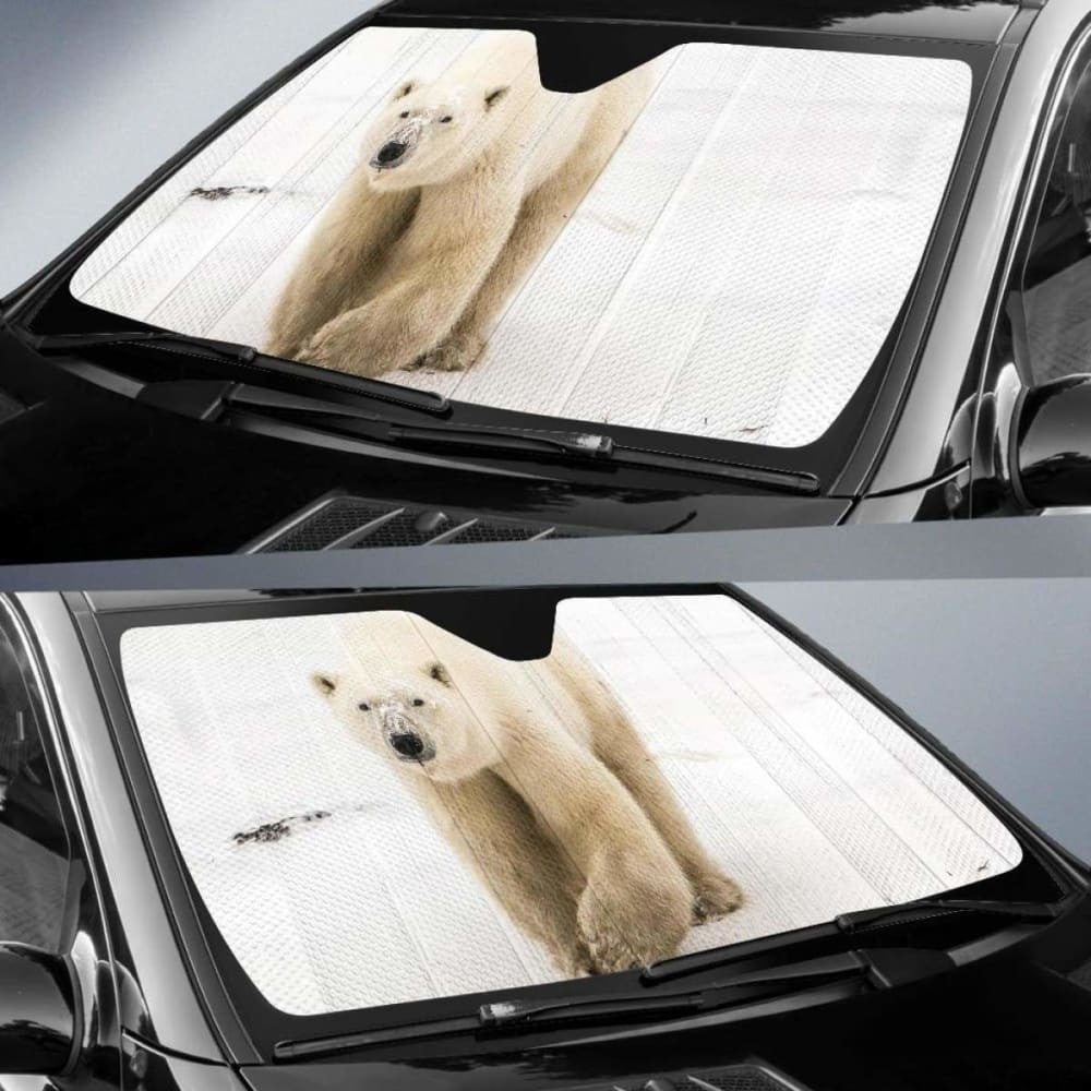 Polar Bear White Bear Snow Sea Ice Hd Car Sun Shade