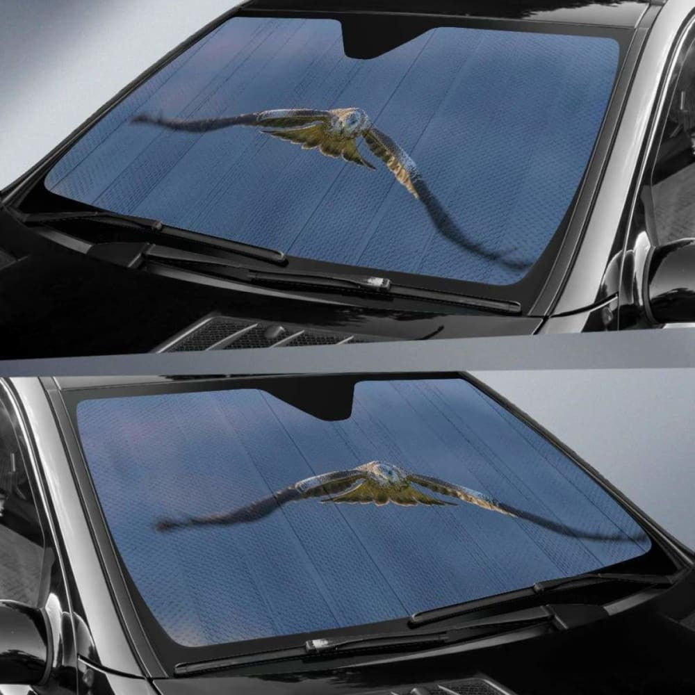 Eagle FlyingK Car Sun Shade