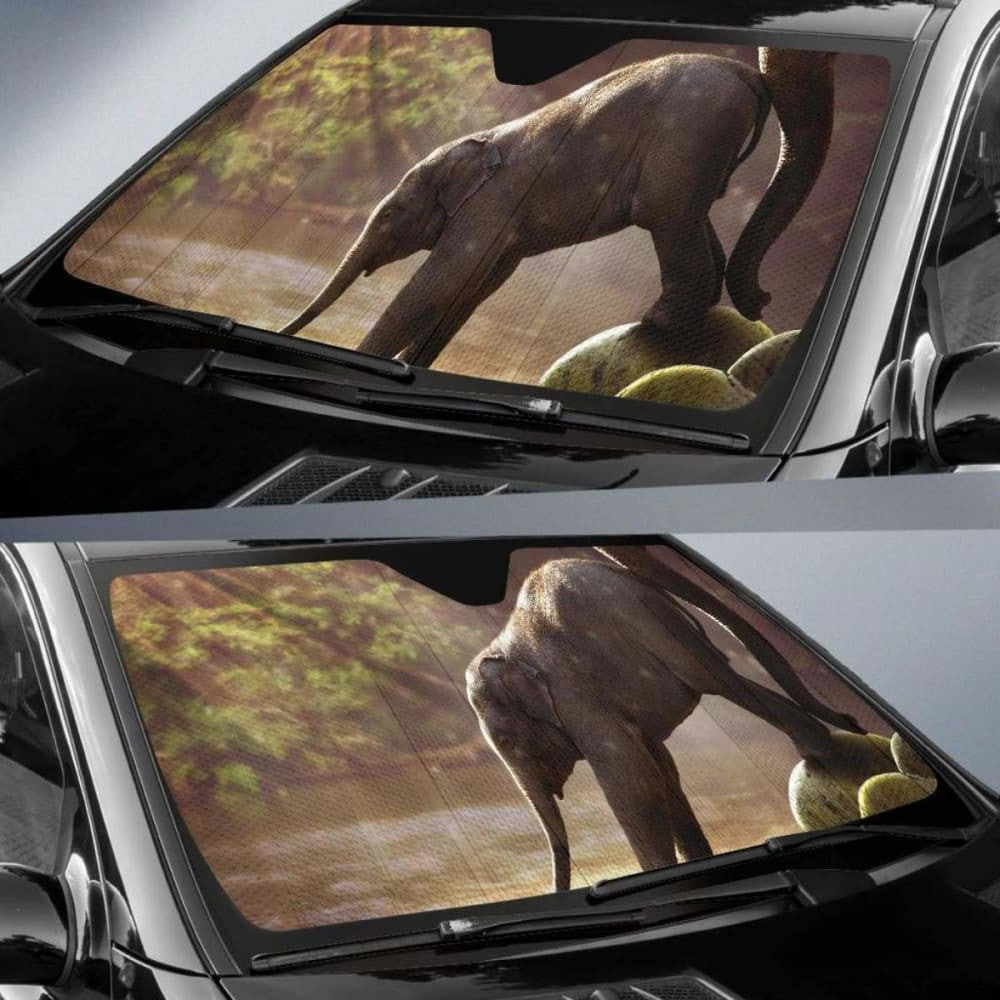 Baby Elephant Mammals Elephants Sunlight River ForestK K Car Sun Shade