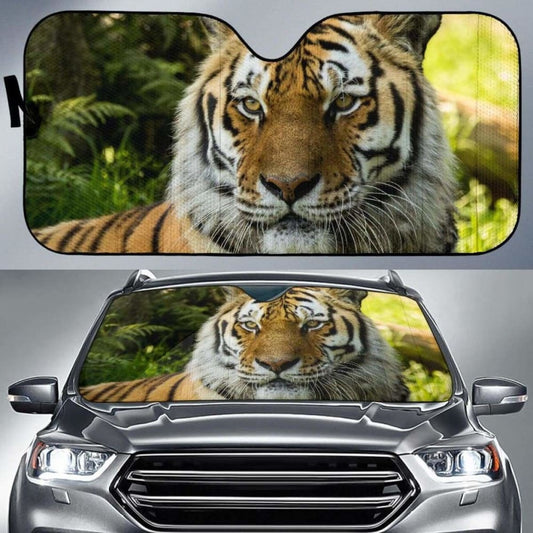 Siberian Tiger Dartmoor Zoo Hd Car Sun Shade