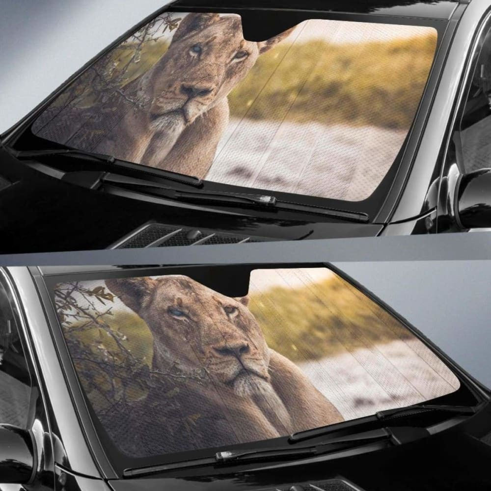 Lioness Chobe National Park BotswanaK Car Sun Shade