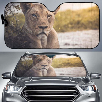 Lioness Chobe National Park BotswanaK Car Sun Shade