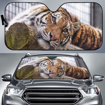 Sumatran Tiger Almaty Zoo Kazakhstan Car Sun Shade
