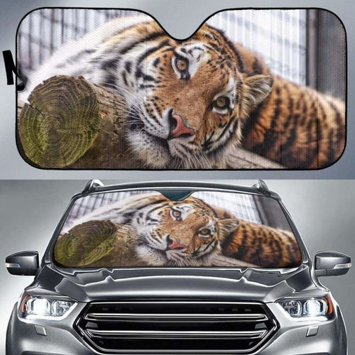 Sumatran Tiger Almaty Zoo Kazakhstan Car Sun Shade