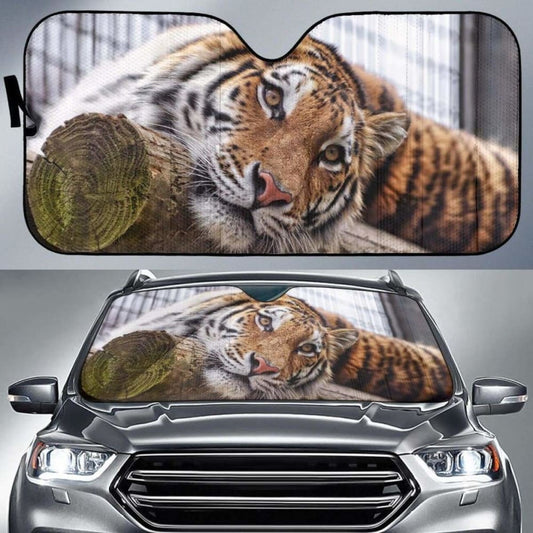 Sumatran Tiger Almaty Zoo Kazakhstan Car Sun Shade