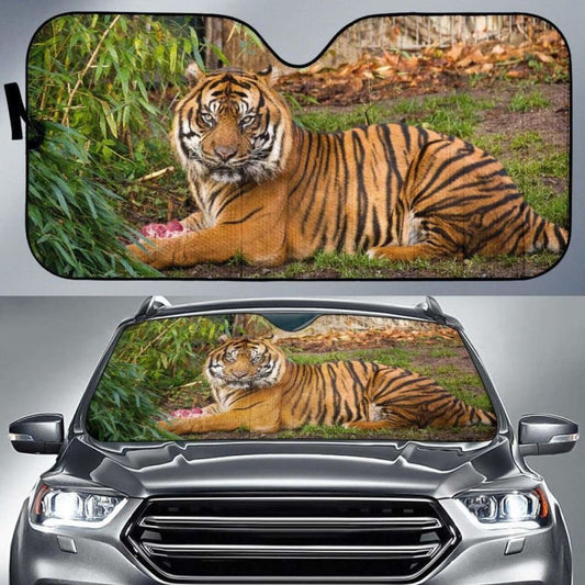 Tiger ZooK Car Sun Shade