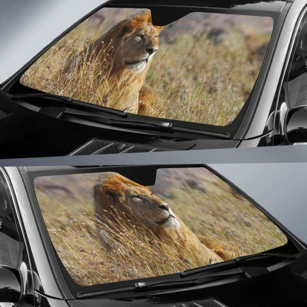 African Lion HdK Car Sun Shade