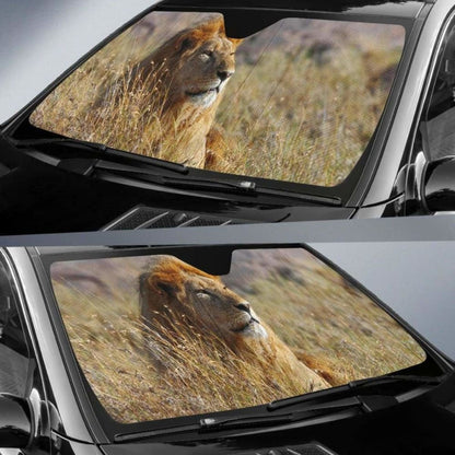 African Lion HdK Car Sun Shade