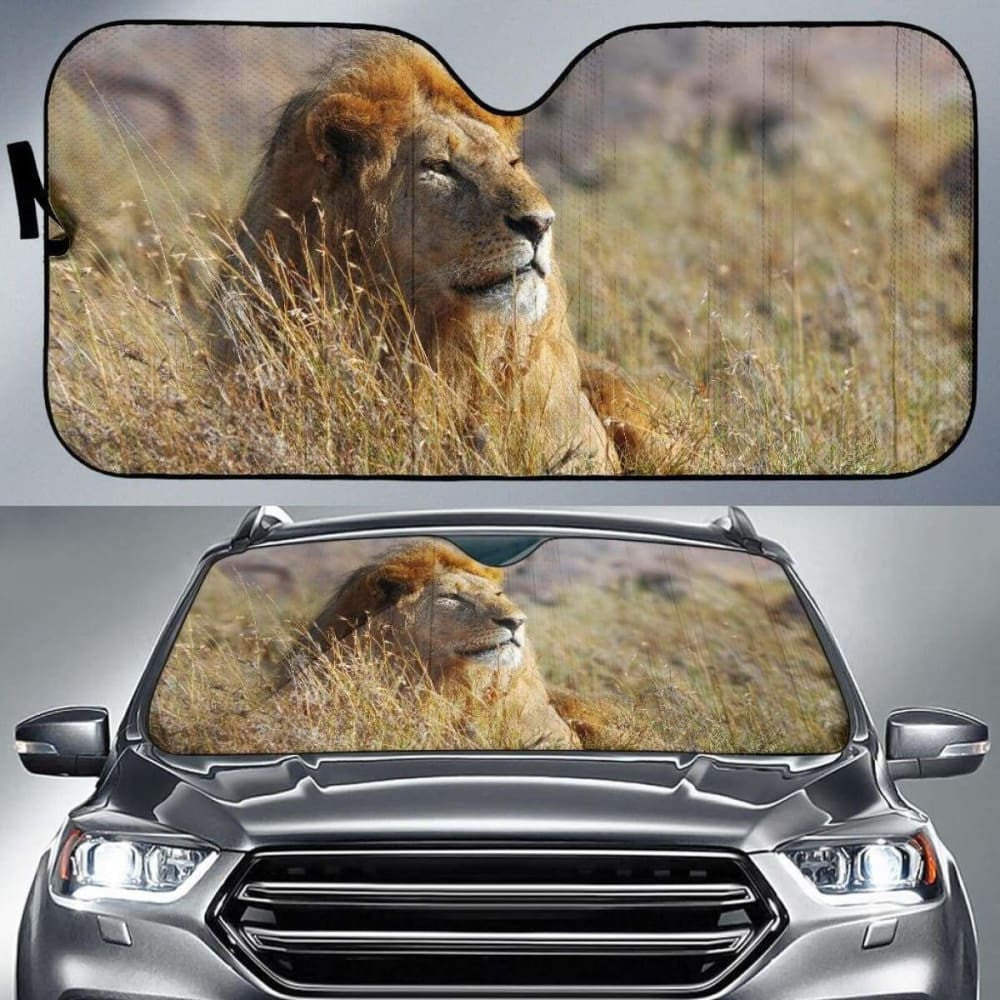 African Lion HdK Car Sun Shade