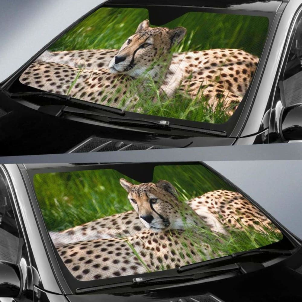 Cheetah Cologne Zoo Hd Car Sun Shade