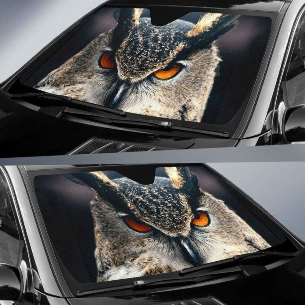 Owl Close UpK Car Sun Shade