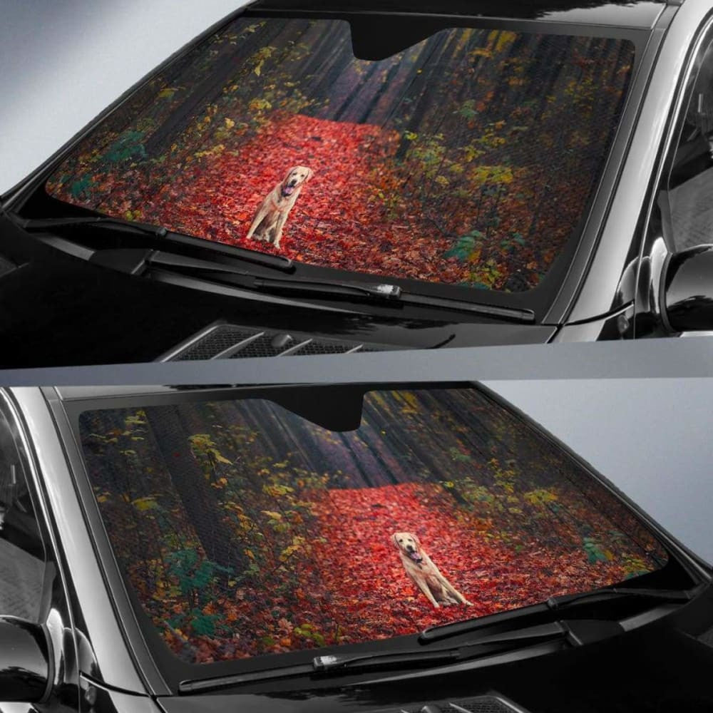 Labrador Retriever Autumn Foliage Forest Hd Car Sun Shade