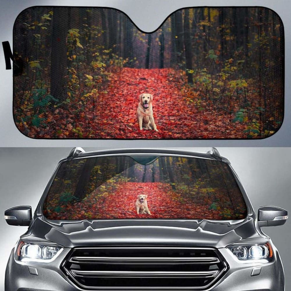 Labrador Retriever Autumn Foliage Forest Hd Car Sun Shade