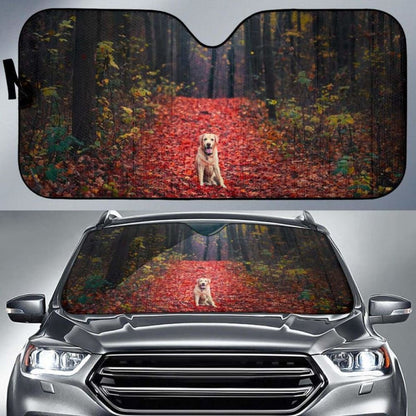Labrador Retriever Autumn Foliage Forest Hd Car Sun Shade