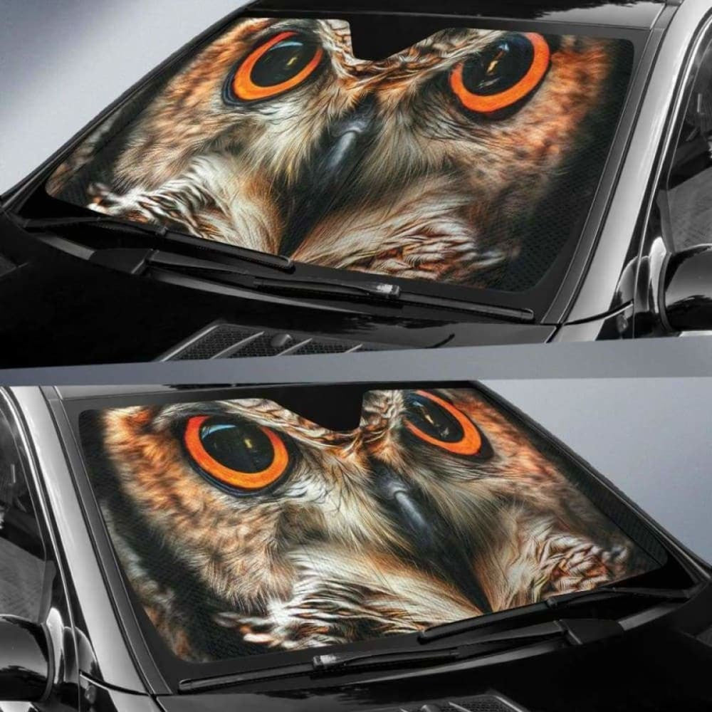 Owl Eyes Car Sun Shades