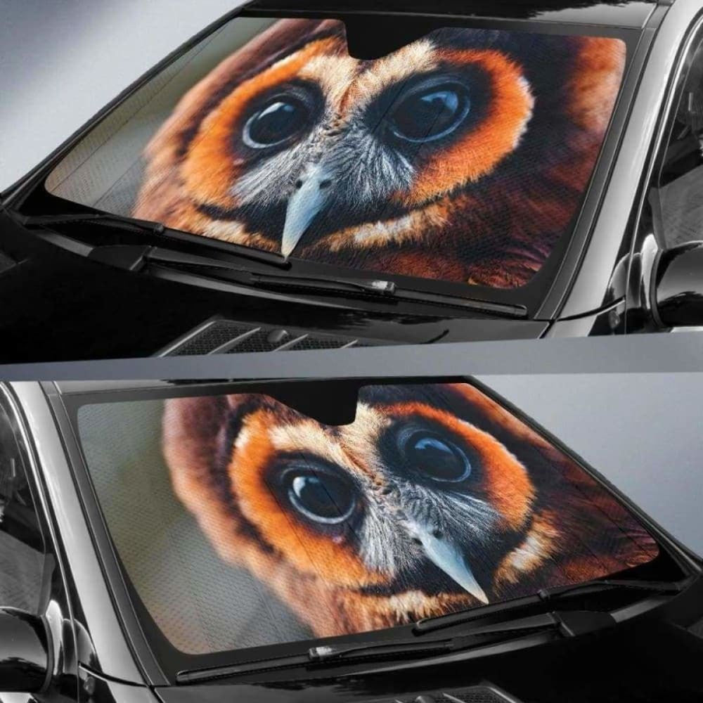 Great Owl Eyes Car Sun Shades