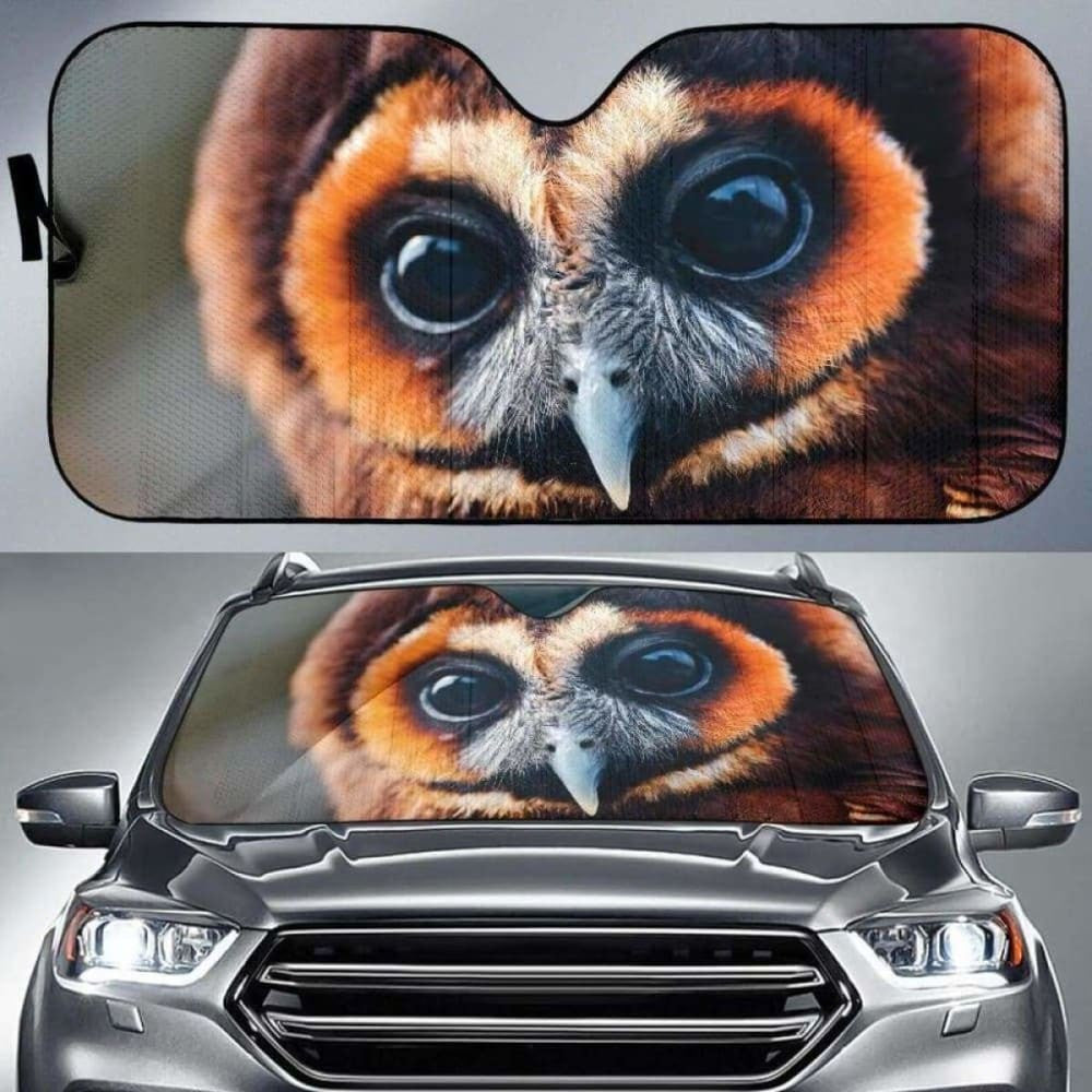 Great Owl Eyes Car Sun Shades