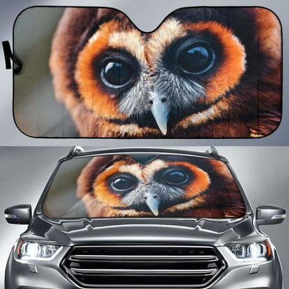 Great Owl Eyes Car Sun Shades