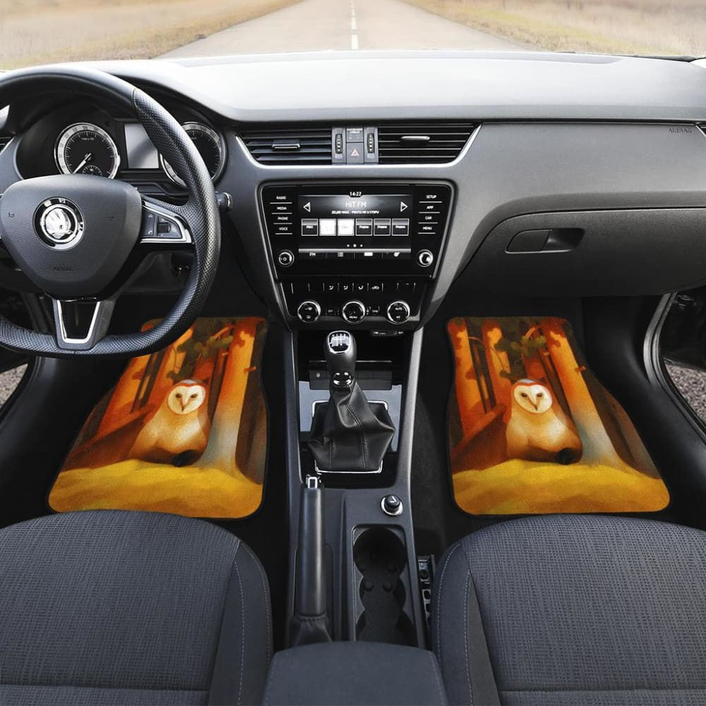Owl Face In Autumn Wild Animal Car Floor Mats