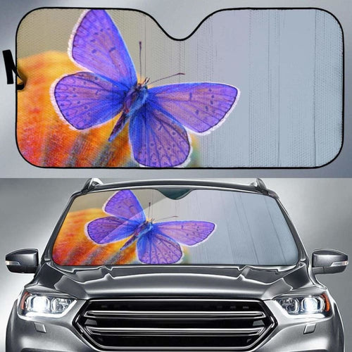 Blue Butterfly Macro Hd Car Sun Shade