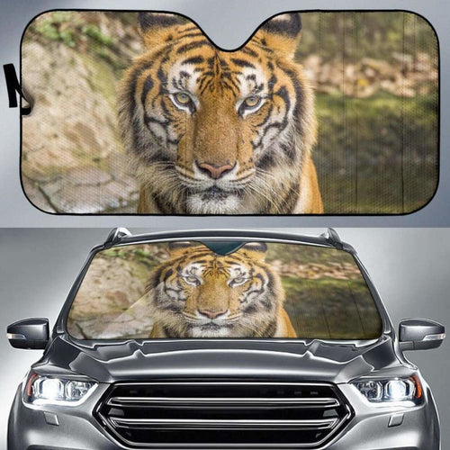 Tiger HdK Car Sun Shade