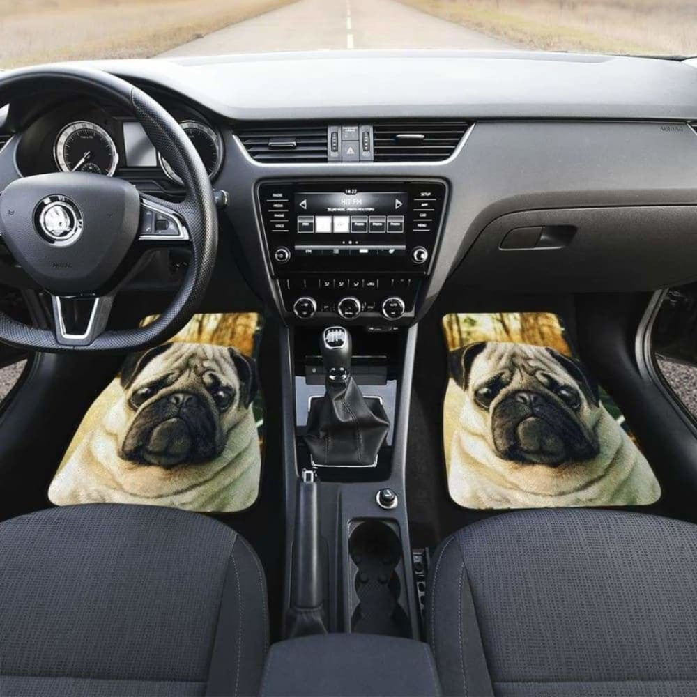 Pug Dog Hungry Sad Face Car Floor Mats