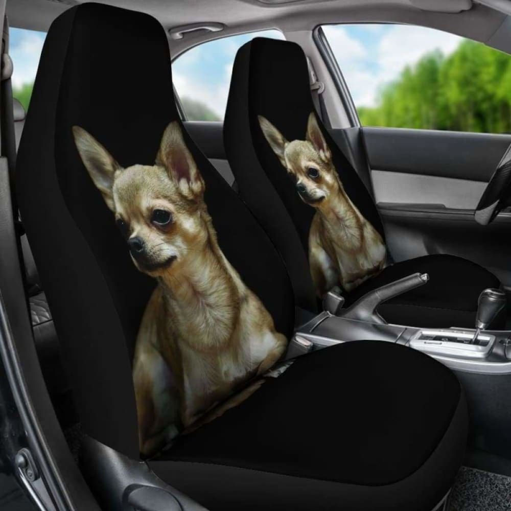 Chihuahua Car Seat Cover