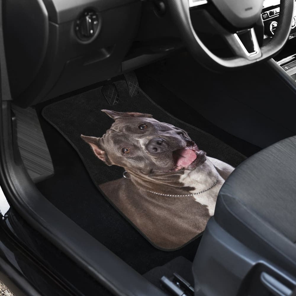 Pit Bull Design Car Floor Mats Colorful Back